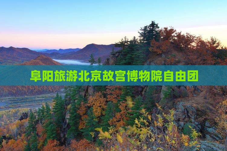 阜阳到北京故宫博物院自由团