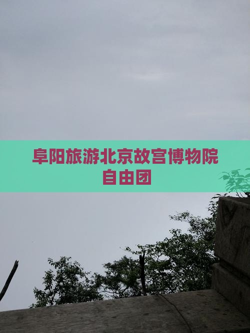 阜阳到北京故宫博物院自由团