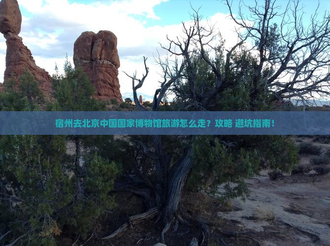 宿州去北京中国国家博物馆旅游