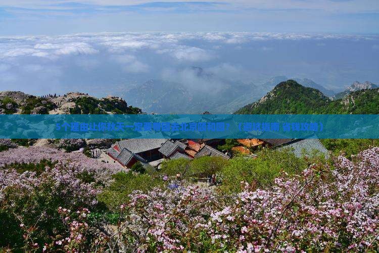 秋天去北京颐和园团体旅游