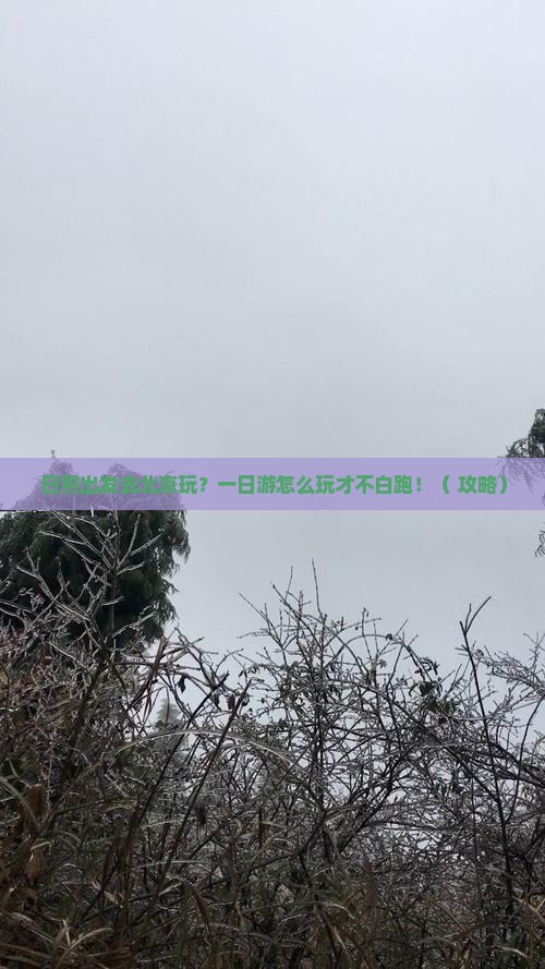 日照去北京一日游