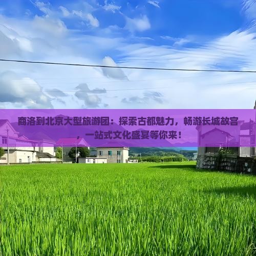 商洛到北京大型旅游团