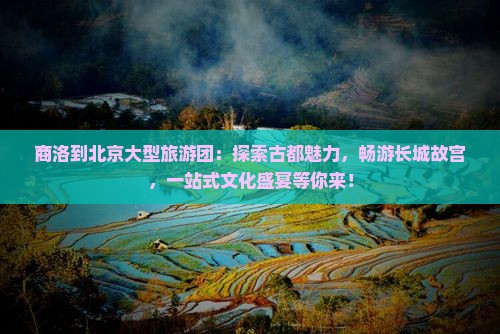 商洛到北京大型旅游团