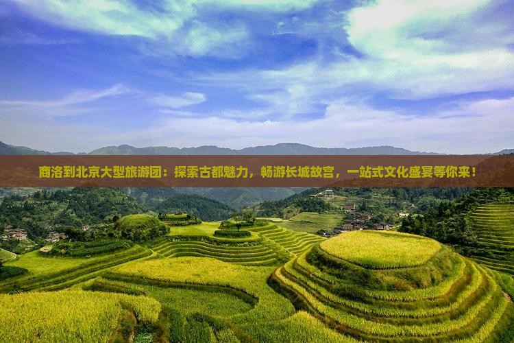 商洛到北京大型旅游团