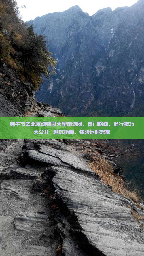 端午节去北京动物园大型旅游团