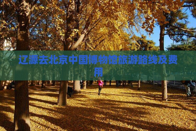 辽源去北京中国国家博物馆旅游