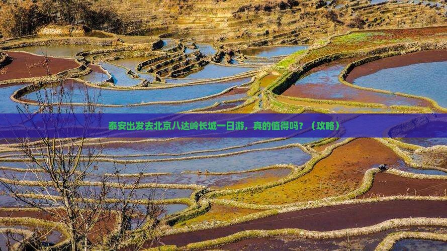 泰安去北京八达岭长城一日游