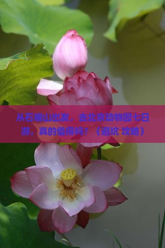 石嘴山到北京动物园七日游