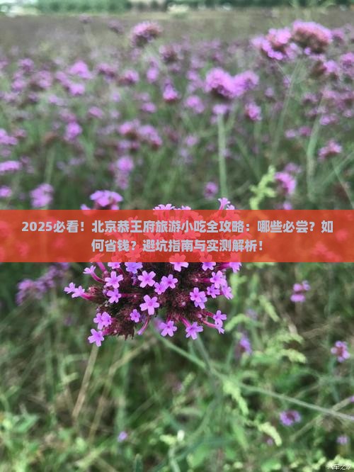 海南省直辖到北京恭王府旅游小吃
