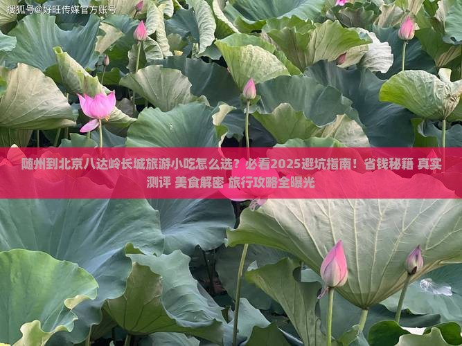 随州到北京八达岭长城旅游小吃