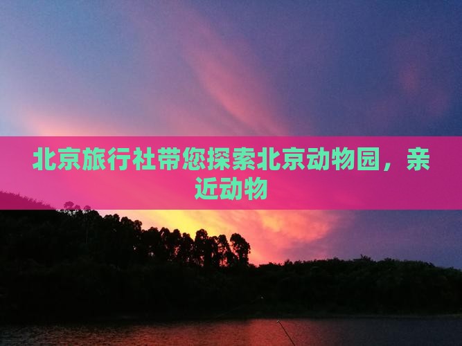 夏天到北京动物园旅行社