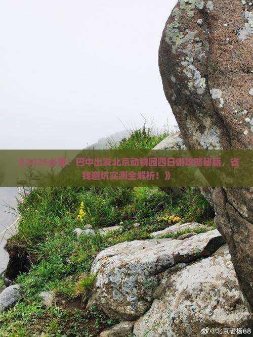 巴中到北京动物园四日游
