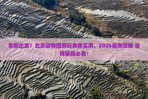阜新去北京动物园必去地