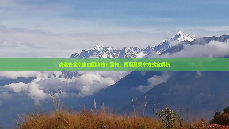 清远去北京自由团 清远去北京自由团