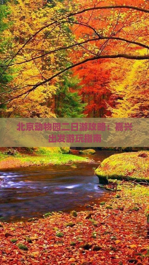 嘉兴去北京动物园二日游