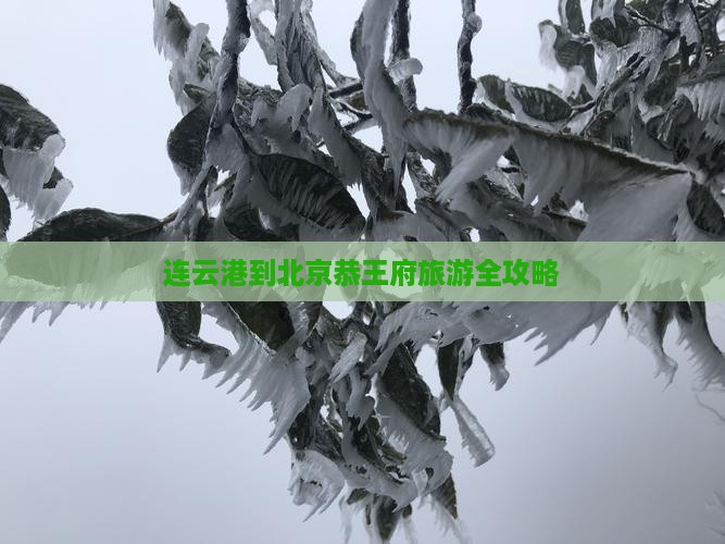 连云港去北京恭王府旅游