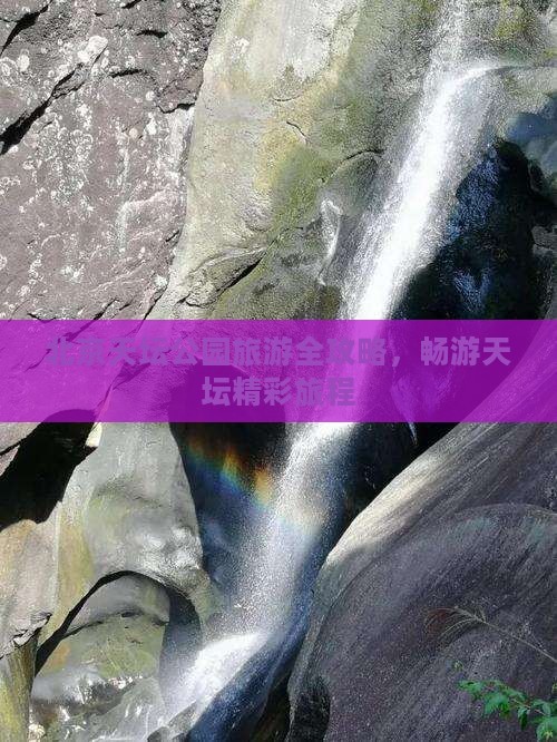 来宾去北京天坛公园旅游