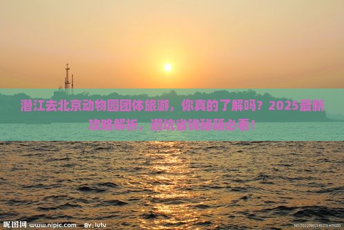 潜江去北京动物园团体旅游