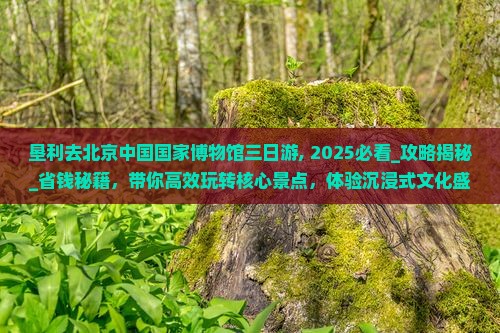 垦利去北京中国国家博物馆三日游