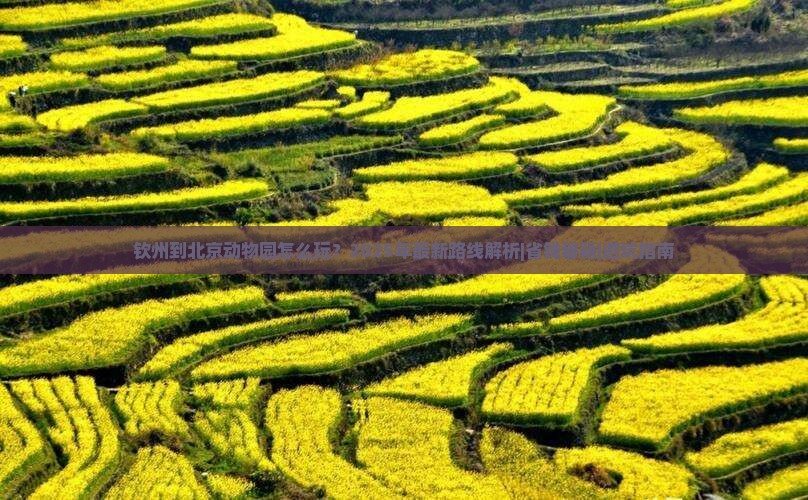 钦州到北京动物园攻略