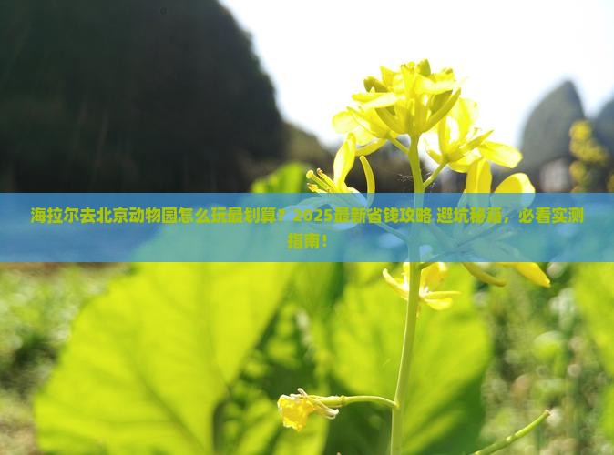 海拉尔去北京动物园哪里玩