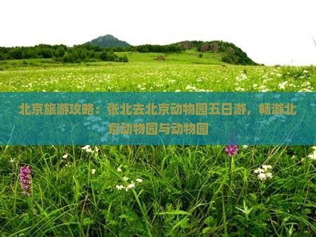 张北去北京动物园五日游