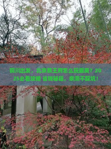 铜川去北京恭王府景点 铜川去北京恭王府景点