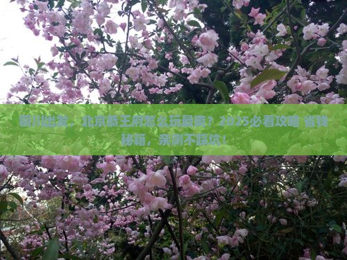 铜川去北京恭王府景点 铜川去北京恭王府景点