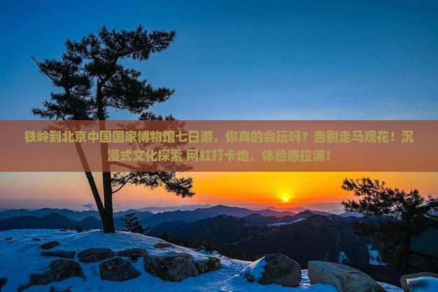 铁岭到北京中国国家博物馆七日游
