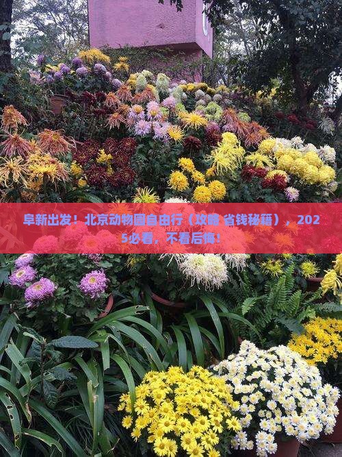 阜新到北京动物园自由团