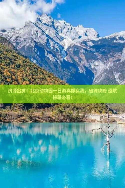 济源去北京动物园一日游
