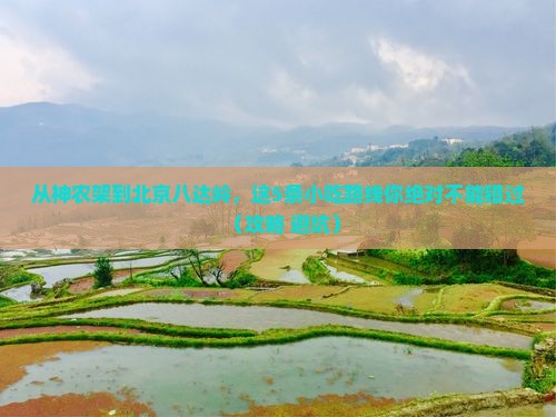 神农架去北京八达岭长城旅游小吃