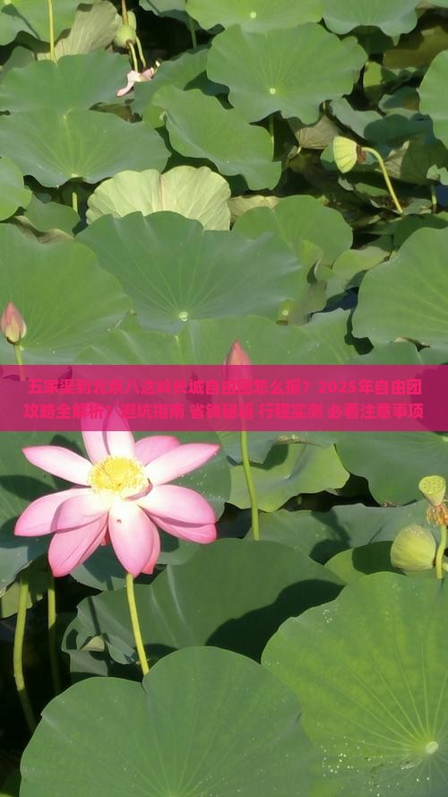 五家渠到北京八达岭长城自由团