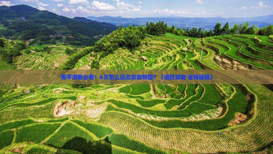 南平到北京动物园六日游
