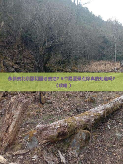 永新去北京颐和园必去地