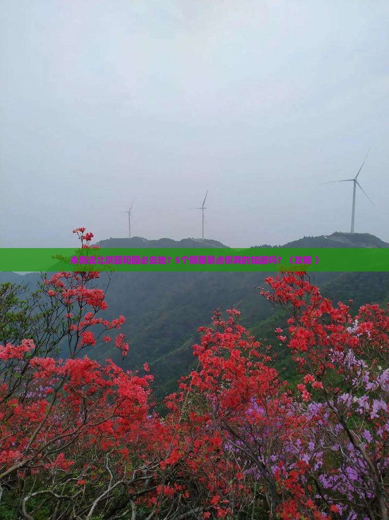 永新去北京颐和园必去地