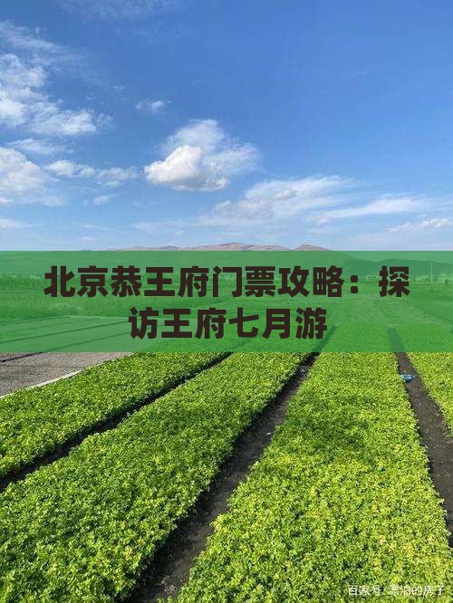 七月去北京恭王府门票