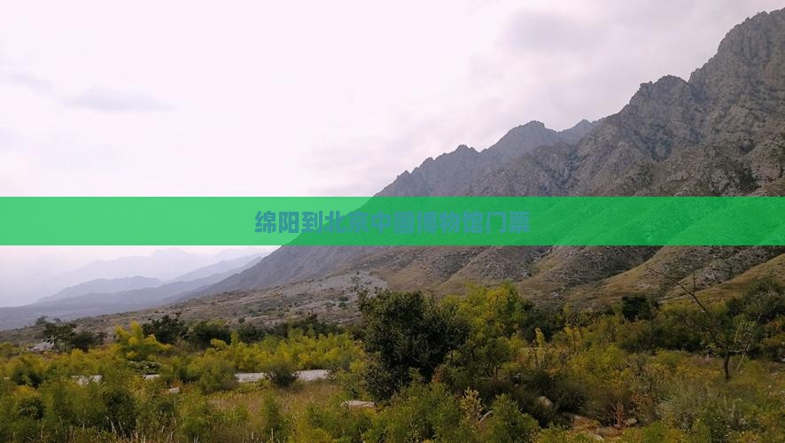 绵阳到北京中国国家博物馆门票