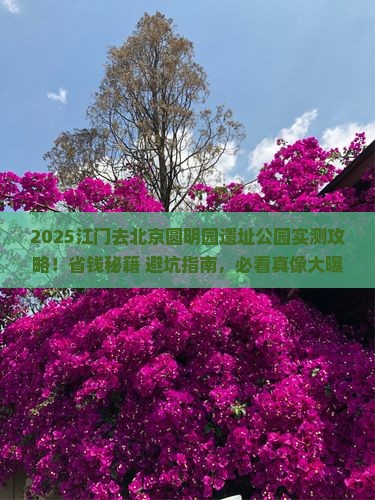 江门去北京圆明园遗址公园攻略