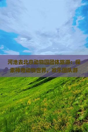河池去北京动物园团体旅游