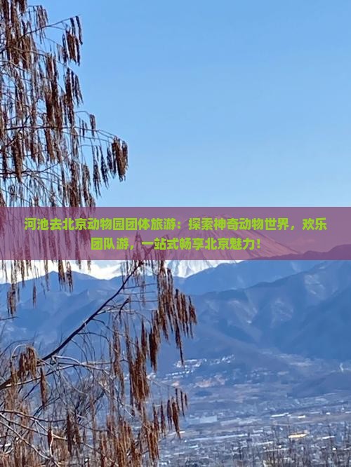 河池去北京动物园团体旅游