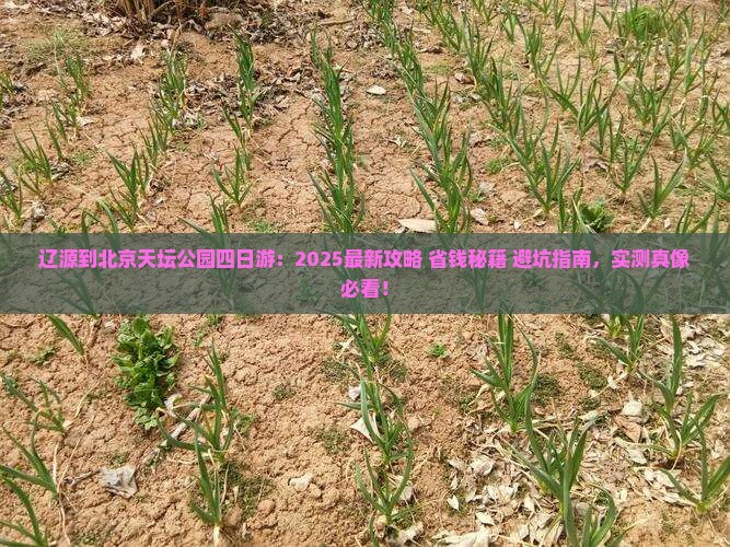 辽源到北京天坛公园四日游
