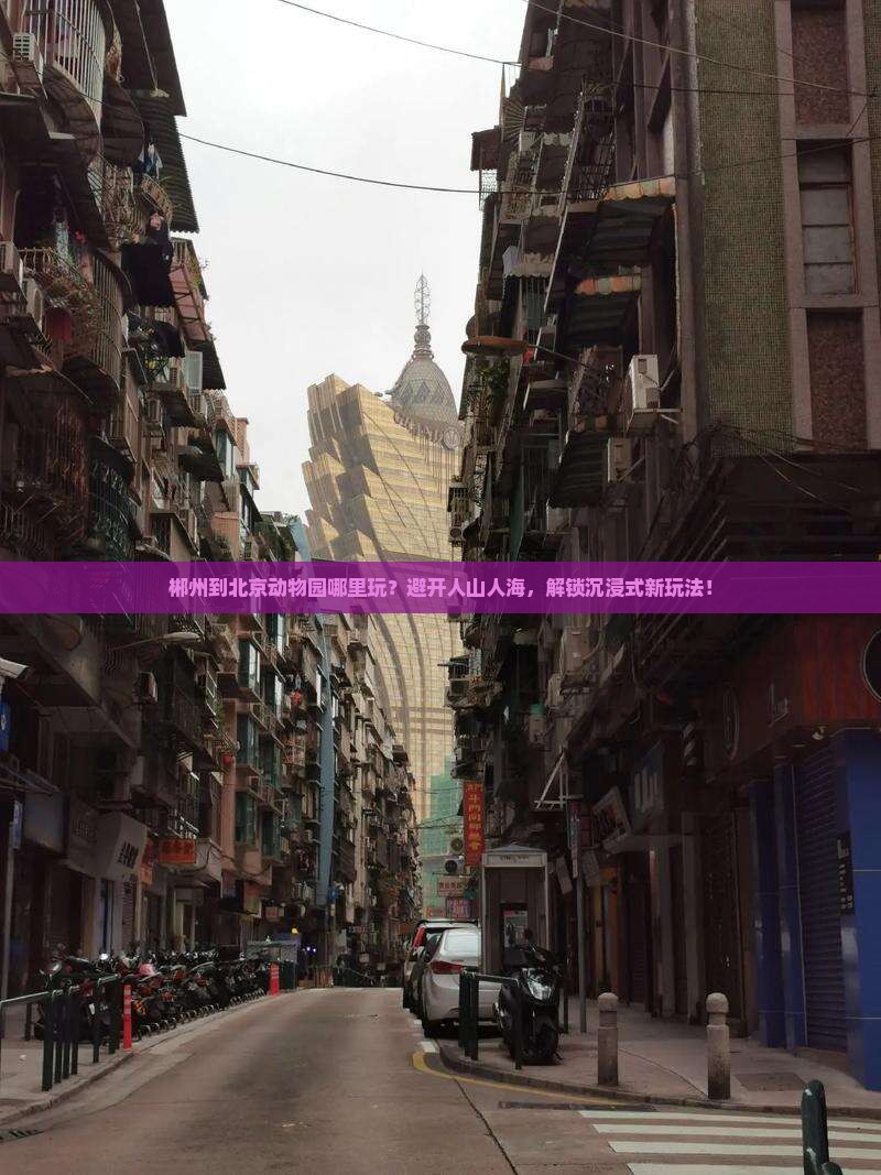 郴州到北京动物园哪里玩