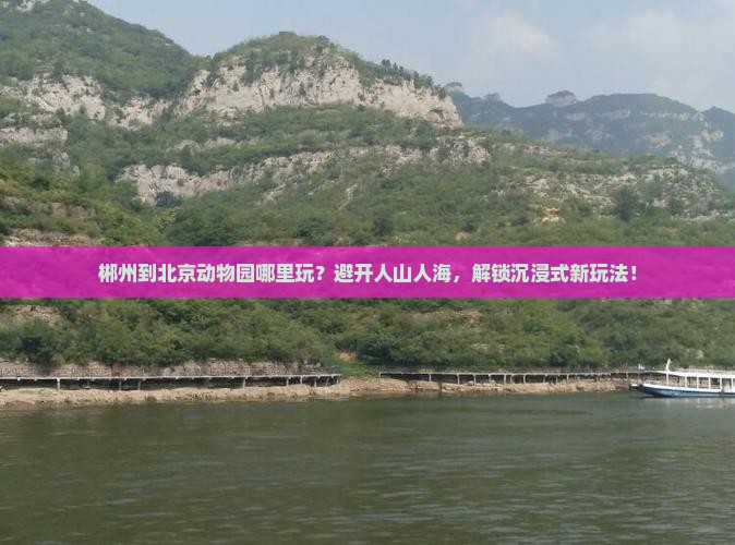 郴州到北京动物园哪里玩
