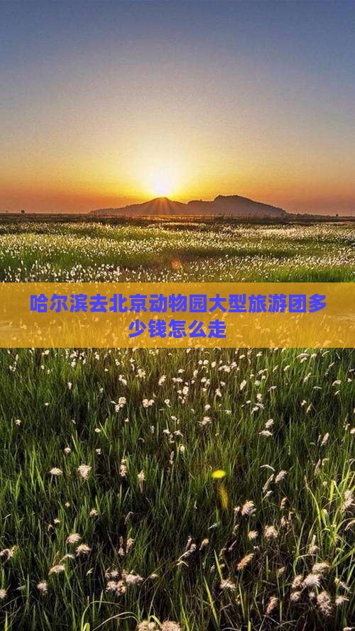 哈尔滨去北京动物园大型旅游团