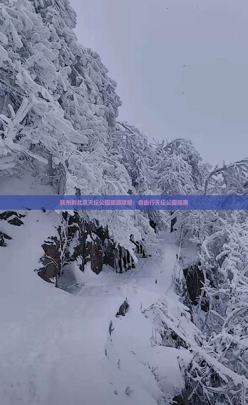 抚州到北京天坛公园个人游