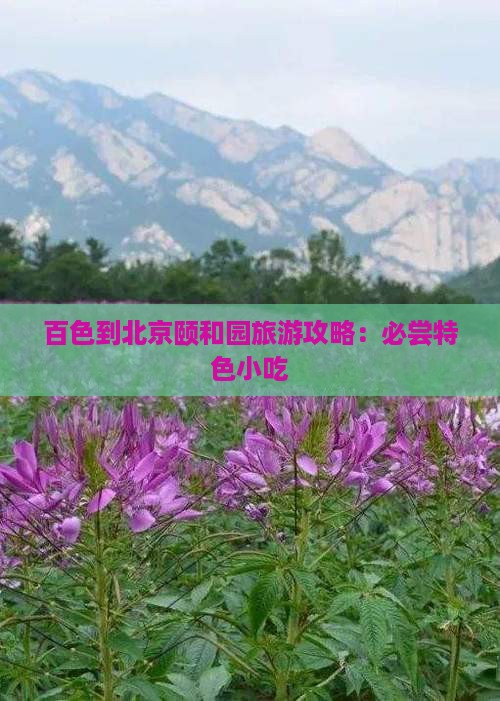 百色到北京颐和园旅游小吃
