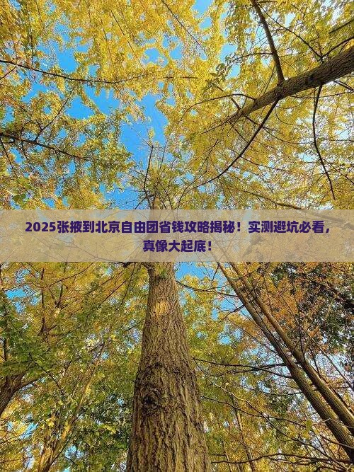 张掖到北京自由团