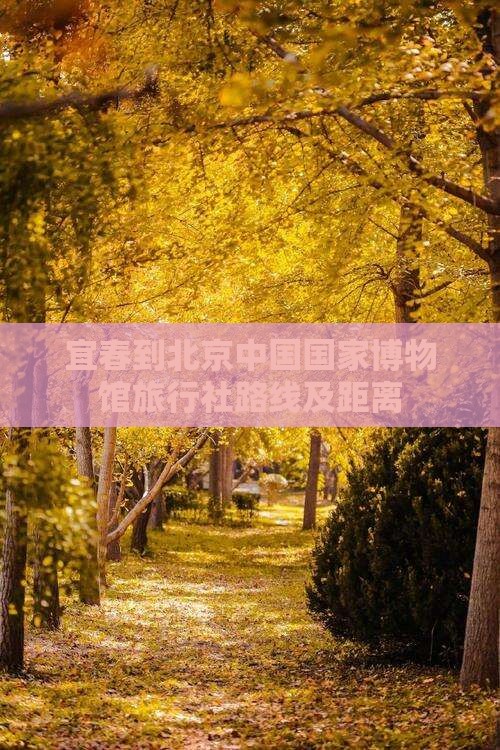 宜春到北京中国国家博物馆旅行社