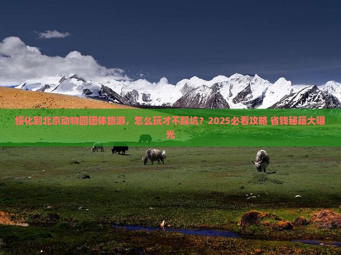 绥化到北京动物园团体旅游